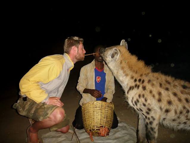 Visitor photographing the hyena feeding at night