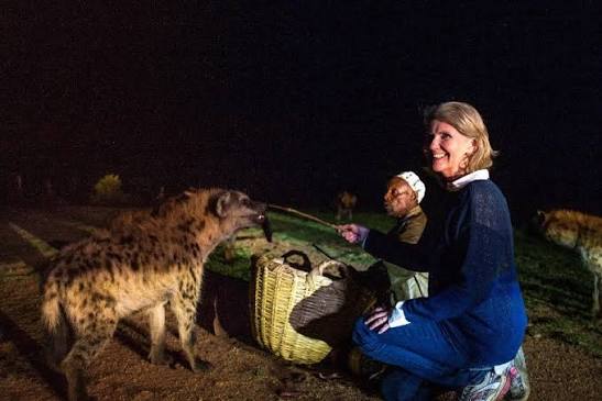 A visitor feeding a hyena under the guidance of the handler