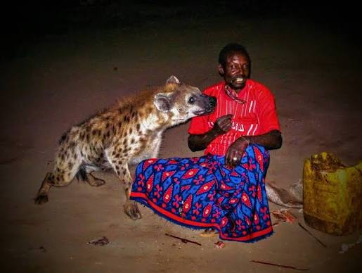 Close view of a hyena at the Harar feeding site